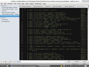 Bodhi Linux vs. Outros Sistemas Operacionais Leves: Quem Brilha Mais para o Seu Hardware?