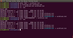 Dominando o Ubuntu 25.04: Comandos Essenciais para Gerenciamento do Sistema