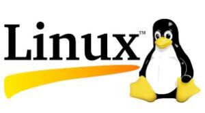 Por Que o Linux é a Escolha Inteligente para Todos: Benefícios Universais, Independentemente da Distro