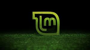 As Tendências da Próxima Geração do Linux Mint: O Que Esperar Após “Wilma”