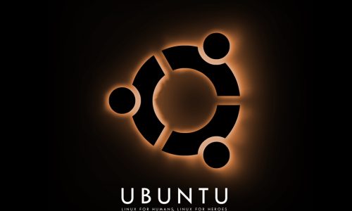Ubuntu 25.04 “Noble Numbat” vs. Ubuntu 24.10 “Oracular Oriole”: As Novidades da Última Versão Intermediária