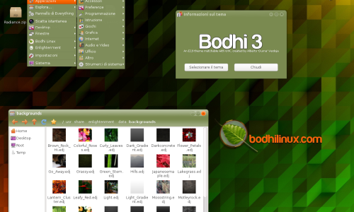 Bodhi Linux: Leveza, Personalização e o Poder do Moksha Desktop
