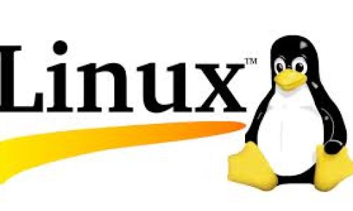 Por Que o Linux é a Escolha Inteligente para Todos: Benefícios Universais, Independentemente da Distro