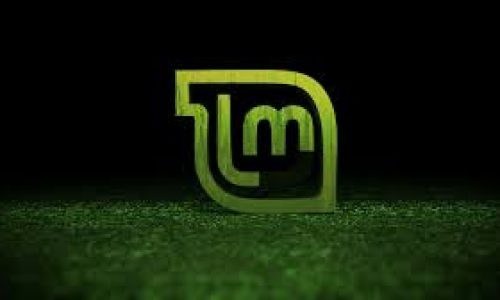 As Tendências da Próxima Geração do Linux Mint: O Que Esperar Após “Wilma”