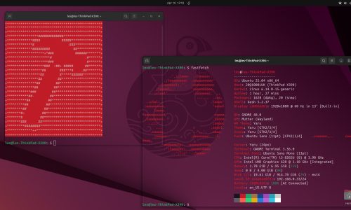 Ubuntu 25.04: Uma Visão Antecipada do Futuro do Linux no Desktop