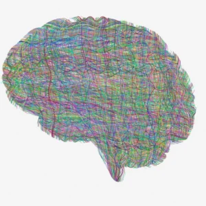 Neurodivergência: o que é e como identificar?