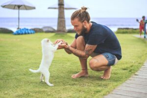 Animais de Estimação e Saúde Mental: Uma Parceria Que Cura