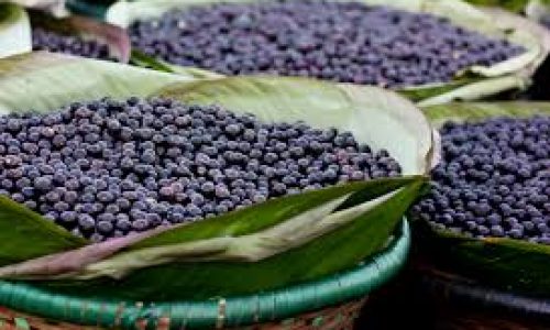 Açaí (Pará)