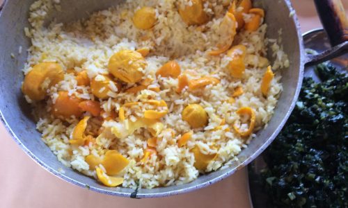 Arroz com Pequi: O Sabor Dourado do Cerrado Brasileiro