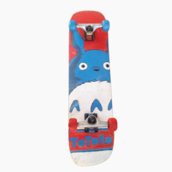 Skate Estampado Infantil (Produto Usado)